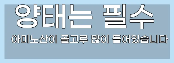  양태는 필수 아미노산이 골고루 많이 들어있습니다