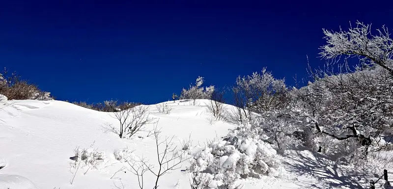 지리산 설경 상고대