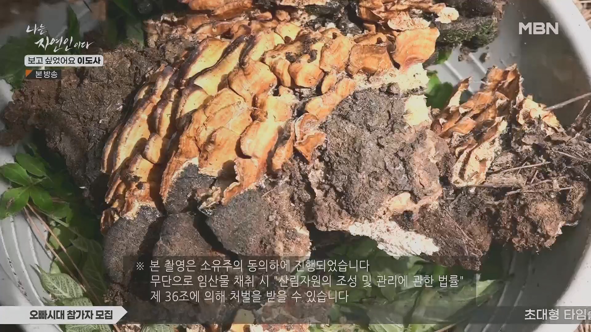 나는 자연인이다.E553.230510p.H264-F1RST.mp4_20230511_195242.720.jpg