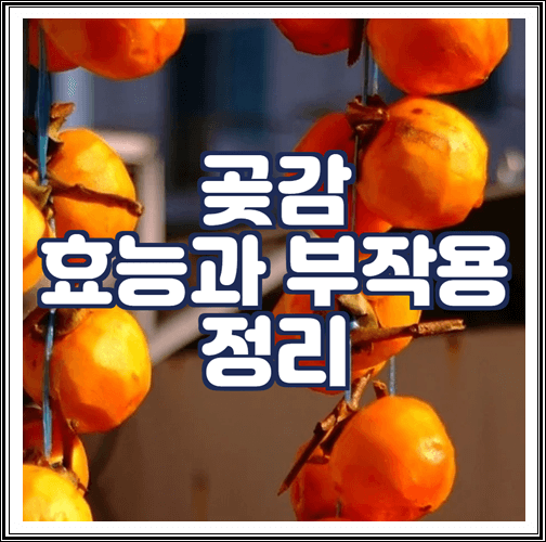  곶감 효능과 부작용 정리