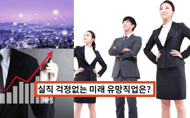  미래유망직업 순위와 전망