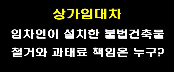 상가임대차-임차인이 설치한 불법건축물 철거와 과태료 책임