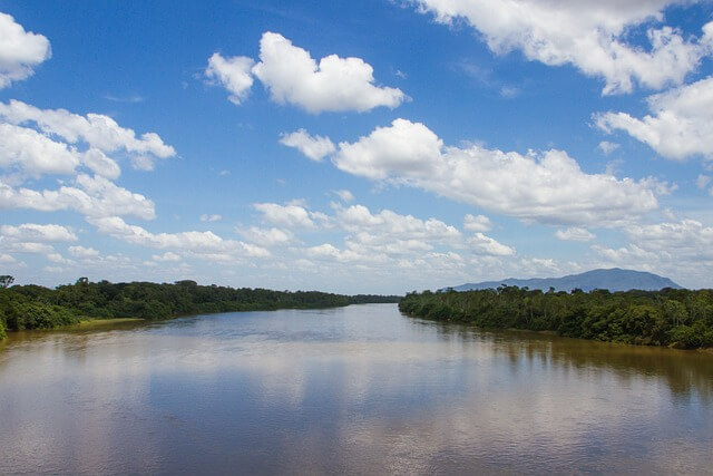 아마존강