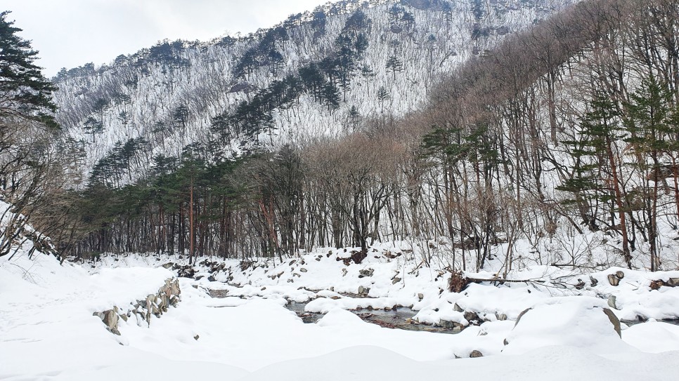 눈쌓인설악산, 21