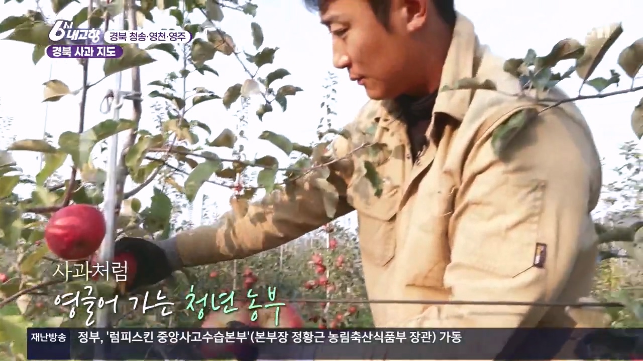 6시 내고향.E7907.231108p.H264-F1RST.mp4_20231108_204445.702.jpg