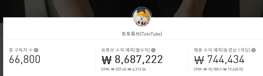  토토튜브 유튜브 수익 분석.. 야바위강아지는 얼마나 벌까?