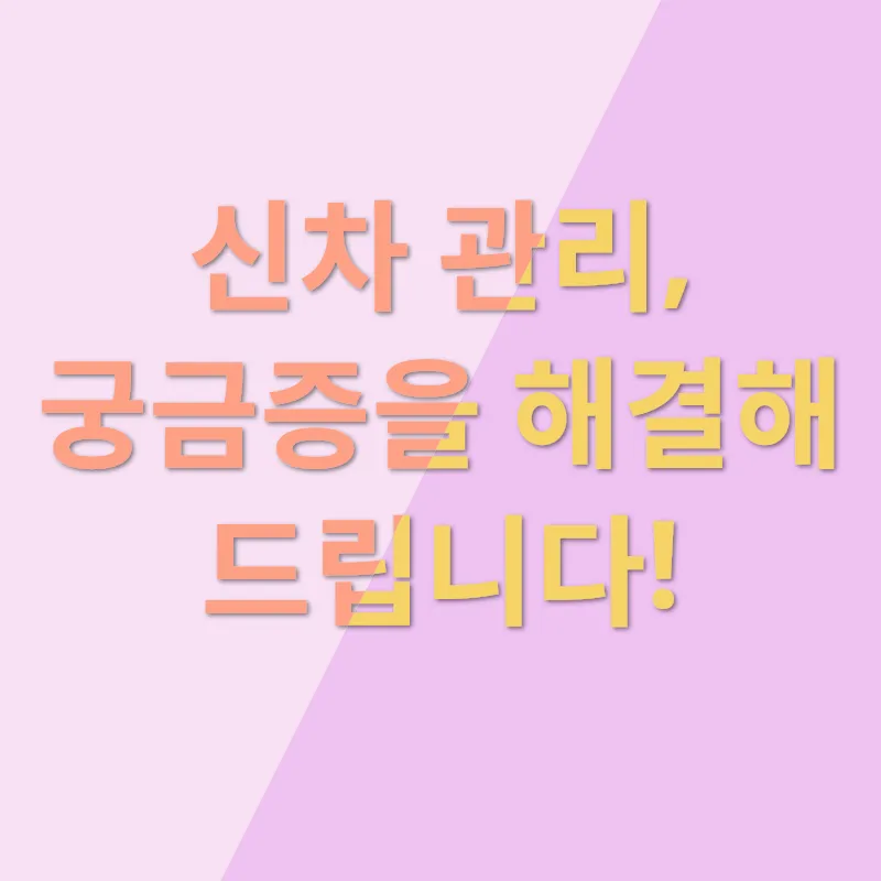 신차 관리_4