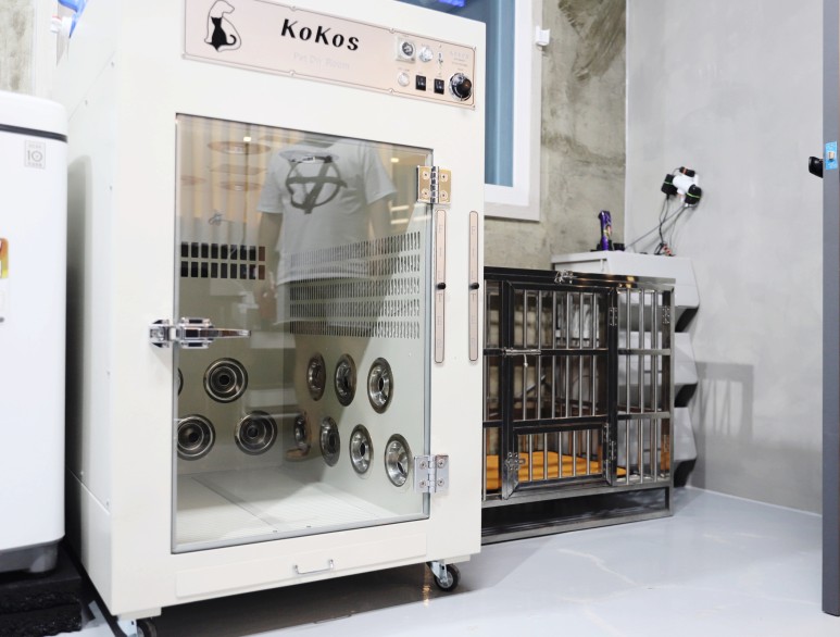 황금동 '도그 데이트' 가게 위쪽 굿! 대구 애견호텔 미용 19