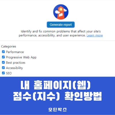  내 홈페이지(웹) 점수(지수) 확인 방법