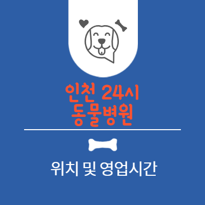  인천 24시 동물병원 영업시간 및 위치 알아보기