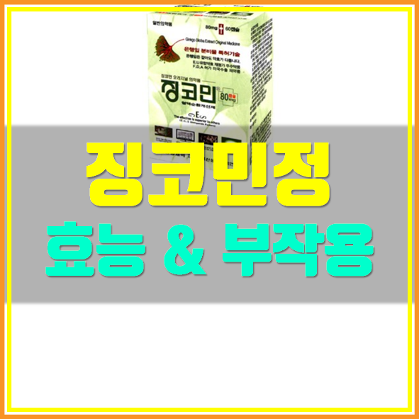  징코민 효능 부작용