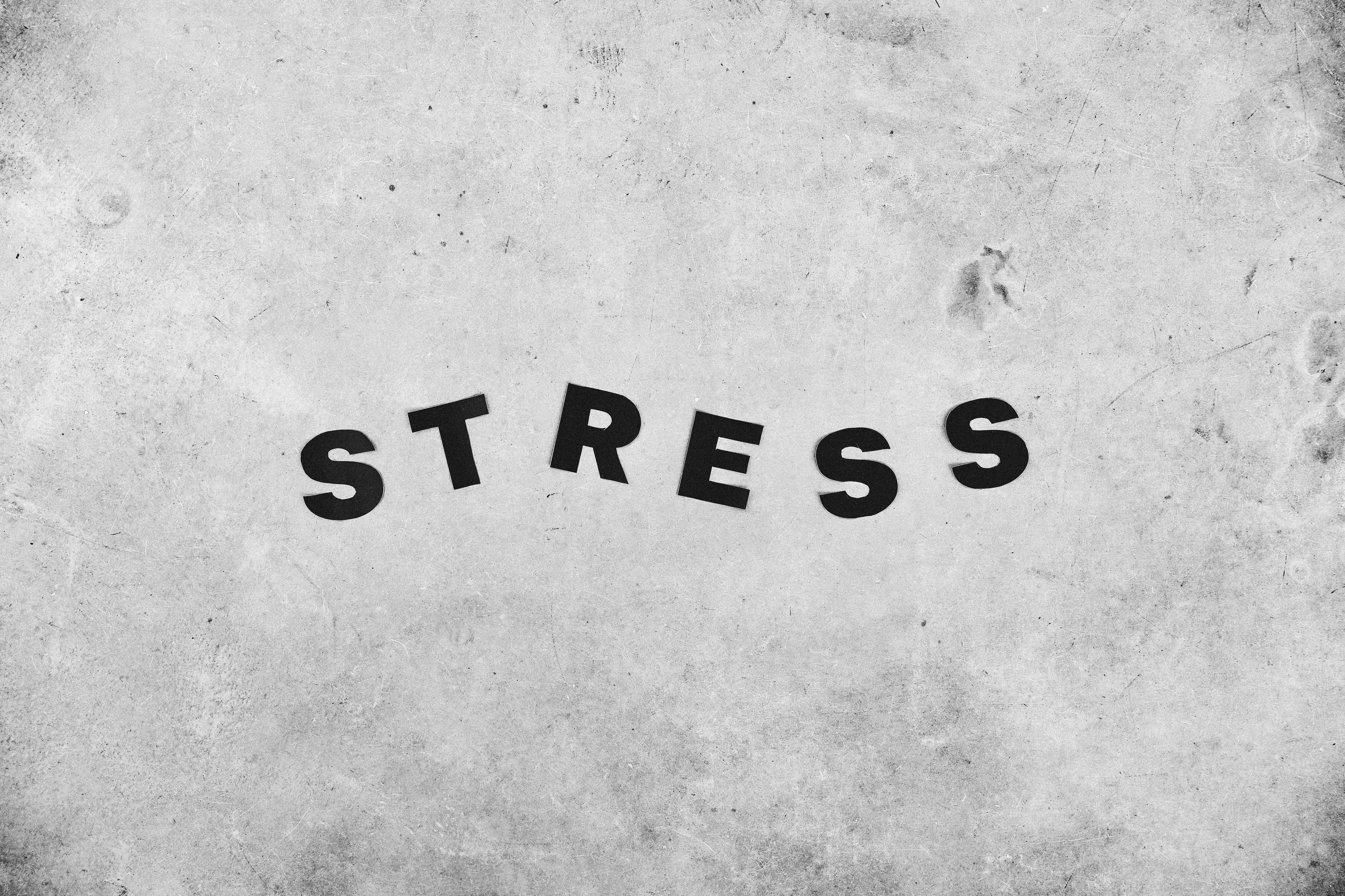 회색바탕의-STRESS