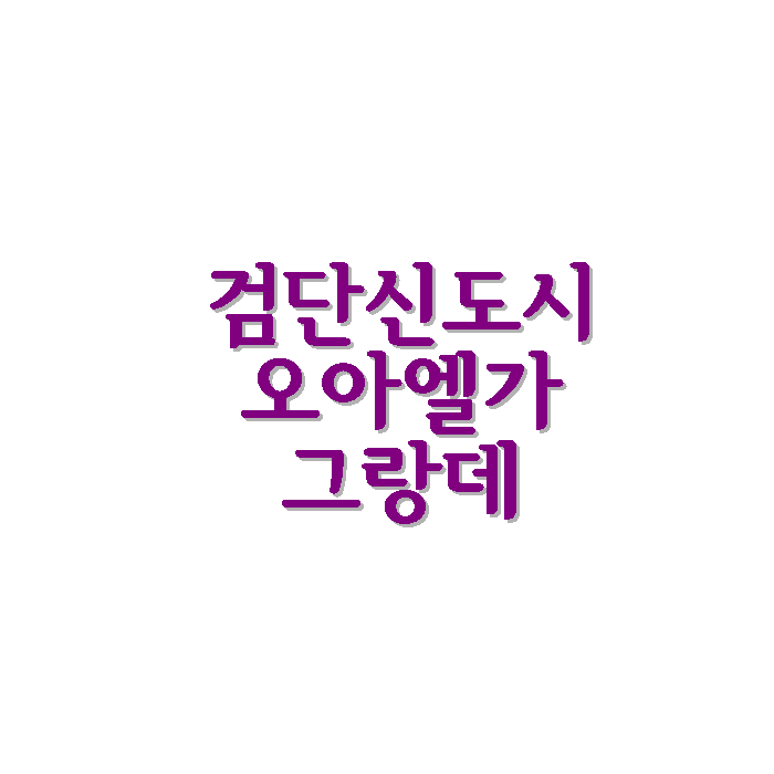  인천 서구 검단신도시 모아엘가 그랑데 시세 면적 평면도 학군 정보 공유