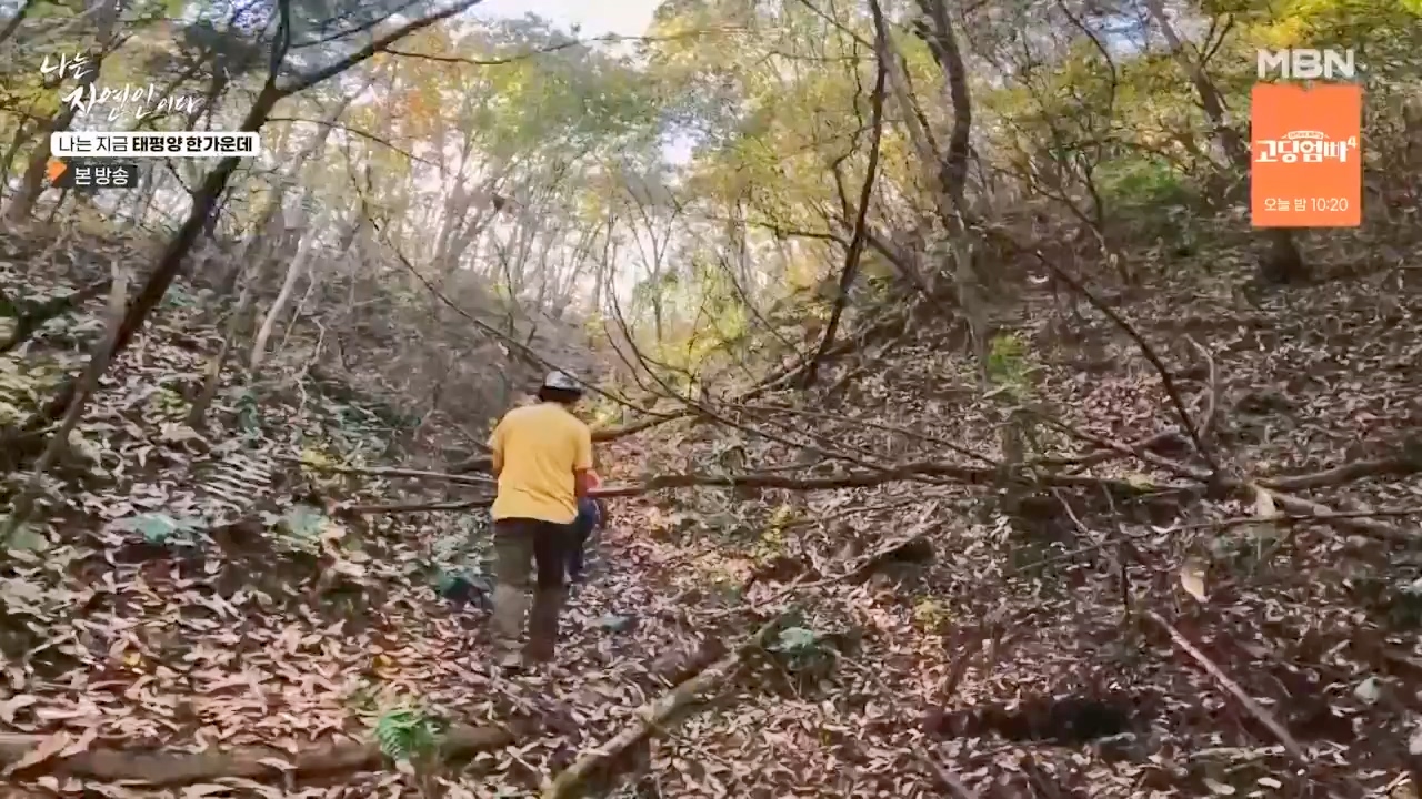 나는 자연인이다.E581.231123p-NEXT.mp4_20231123_200720.163.jpg