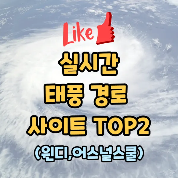  인기 실시간 태풍 경로 예측 사이트 TOP2 (윈디, 어스널스쿨)