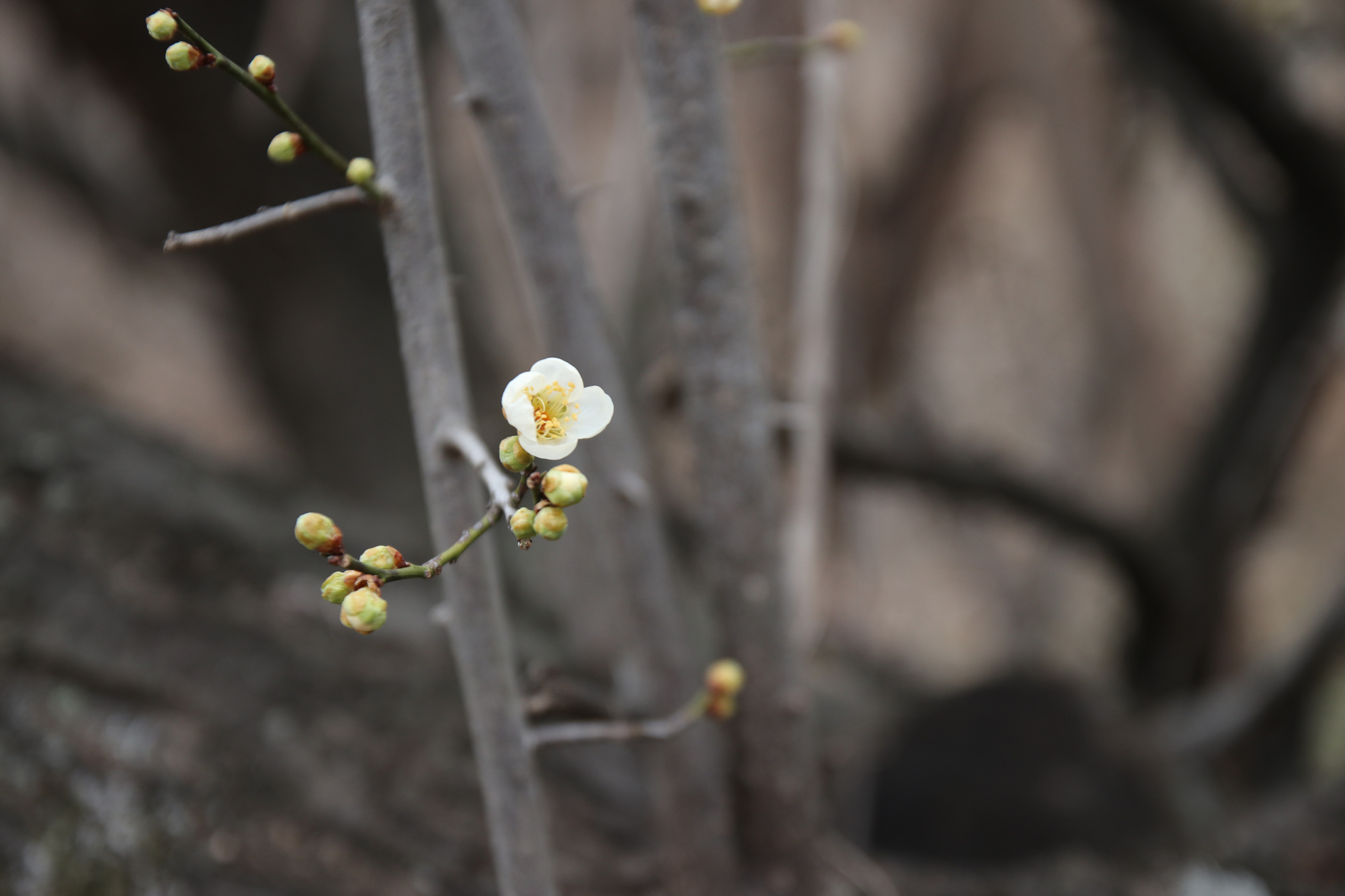 경남 의령군 국사봉 05 79