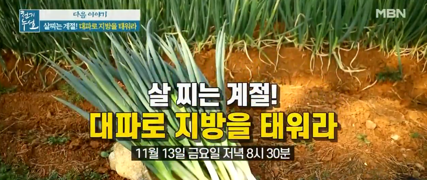  대파차체중감량도움되는차대파효능활용법대파국대파무침레시피 신선한대파고르는법보관법시든대파보관법 섭취시주의사항 겨울철체온유지 체중관리 살찌는계절 대파로지방태우기