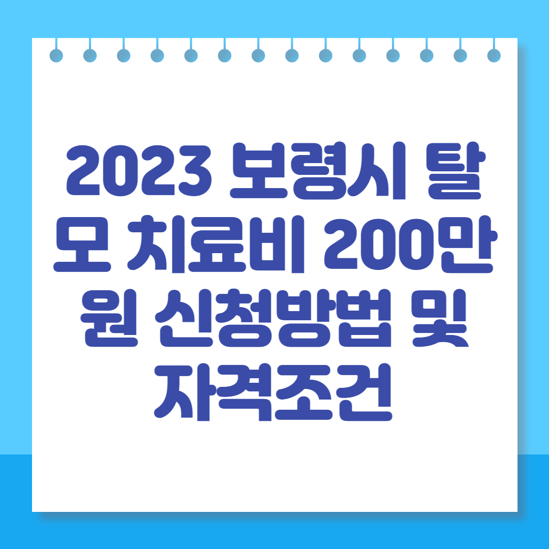 2023 보령시 탈모 치료비 200만원 신청방법 및 자격조건