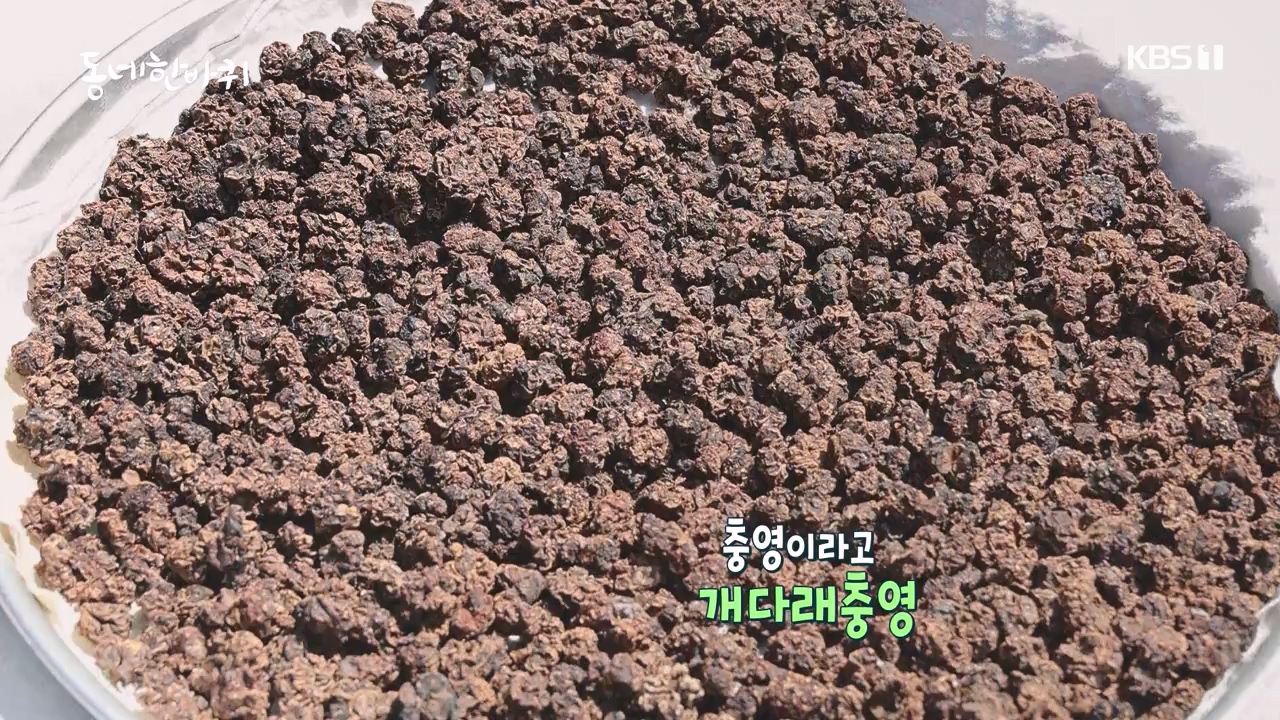 동네 한 바퀴.E242.230931p-NEXT.mp4_20231002_161500.821.jpg