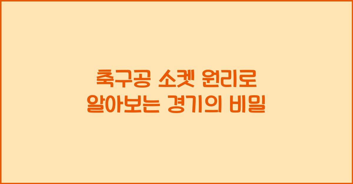 축구공 소켓 원리