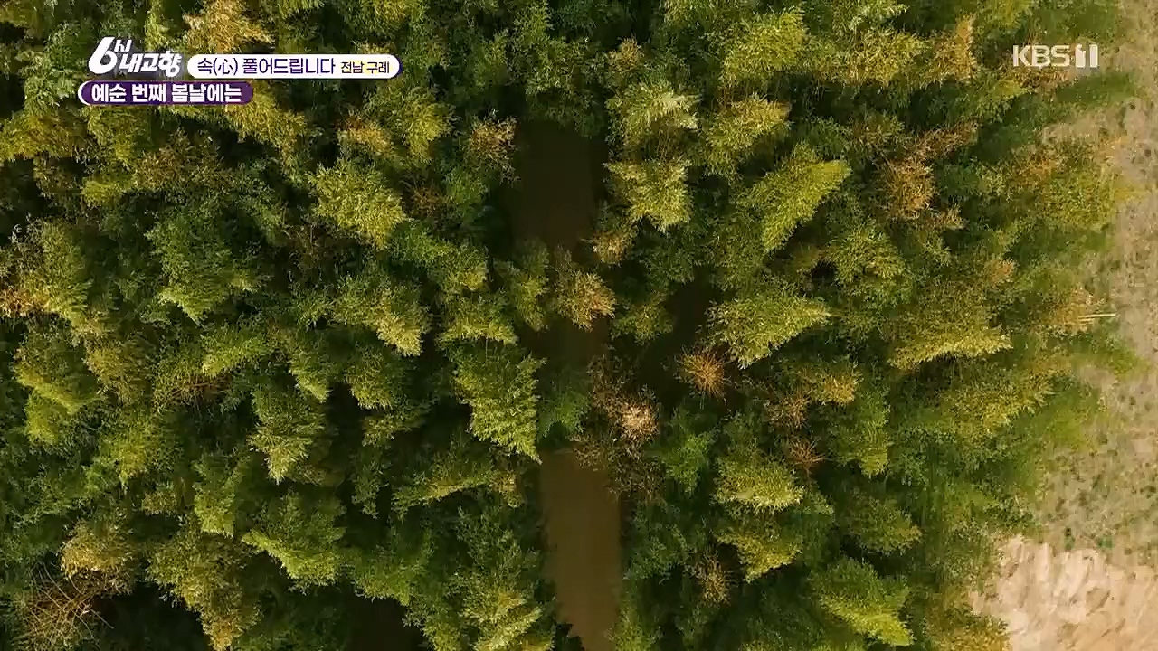 6시 내고향.E7744.230314p.H264-F1RST.mp4_20230314_175005.508.jpg