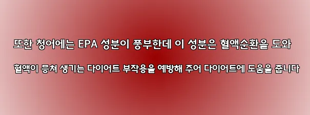  또한 청어에는 EPA 성분이 풍부한데 이 성분은 혈액순환을 도와 혈액이 뭉쳐 생기는 다이어트 부작용을 예방해 주어 다이어트에 도움을 줍니다