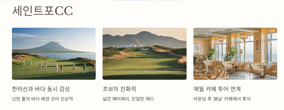 세인트포cc