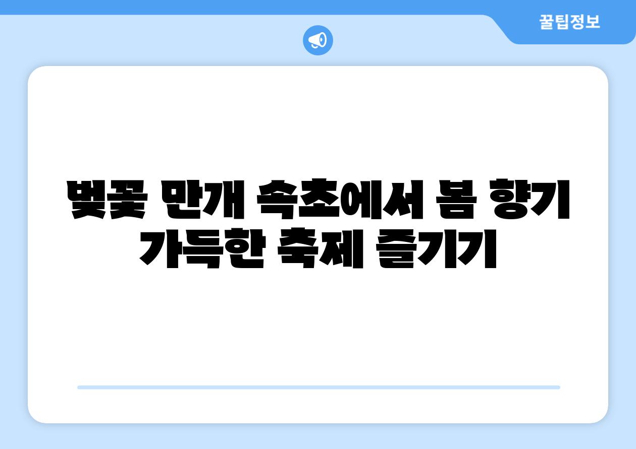 벚꽃 만개 속초에서 봄 향기 가득한 축제 즐기기
