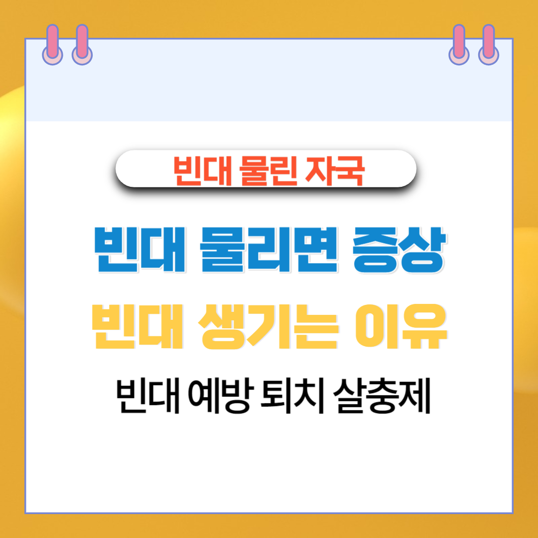  빈대 물린 자국 물리면 증상 생기는 이유 예방 퇴치 살충제