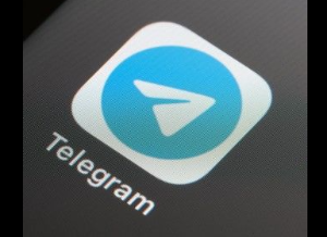 텔레그램 딥페이크 피해 학교와 신고 방법 총정리