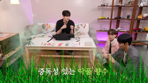 풀냄새 안 좋아하는데 딱풀 향수 산 남돌의 최후...jpg | 인스티즈