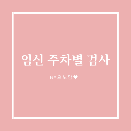  임신 주차별 검사를 알아봅시다 :)