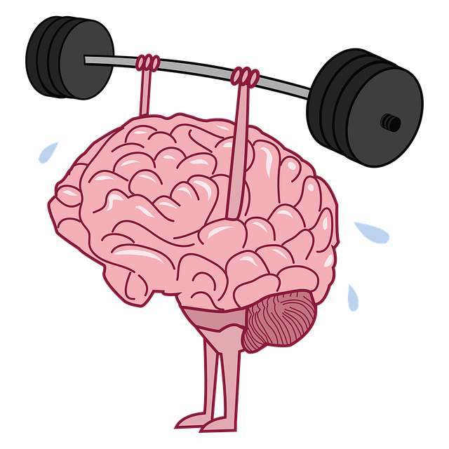 운동하는 뇌