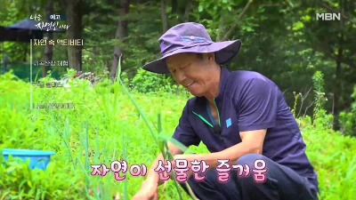 재배중인 작물들