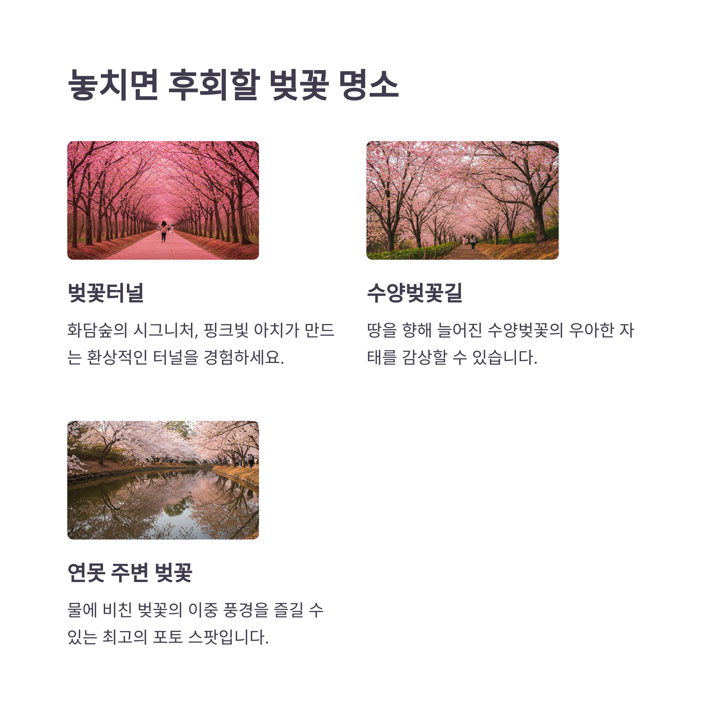 벚꽃 명소 &amp; 추천 코스