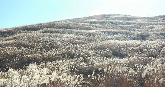 화왕산