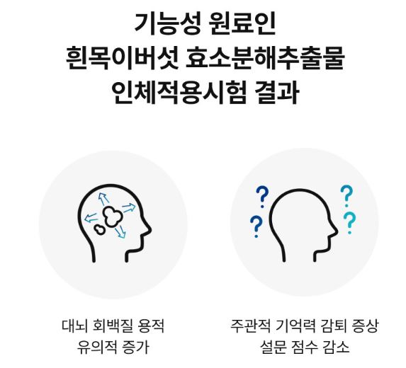 흰목이버섯 효소분해추출물의 특징,효능, 제품추천