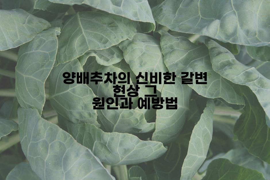 양배추차의 신비한 갈변 현상 그 원인과 예방법