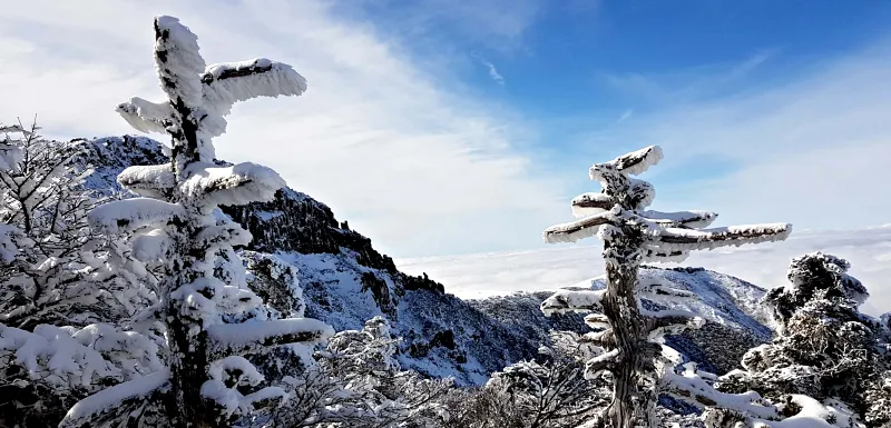 제주 한라산 설경 상고대