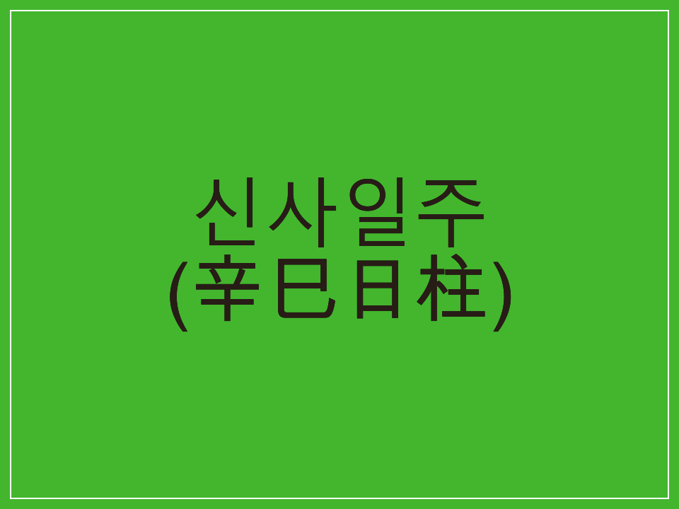  신사일주(辛巳日柱) 일주론 요약