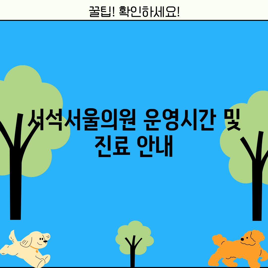 서석서울의원 운영시간 및 진료 안내