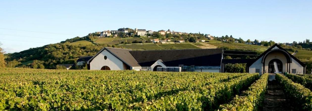 Pascal Jolivet Winery