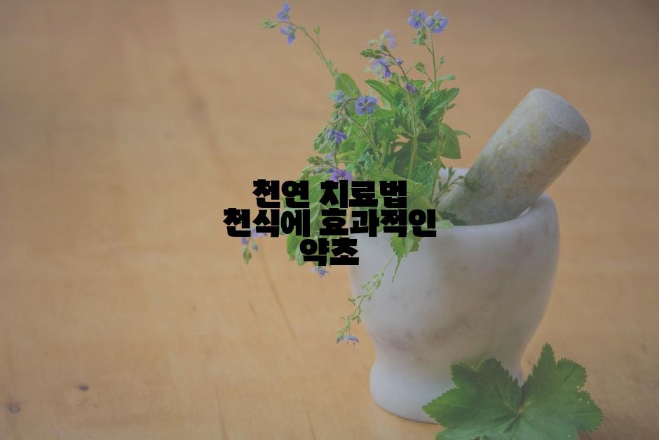 천연 치료법 천식에 효과적인 약초