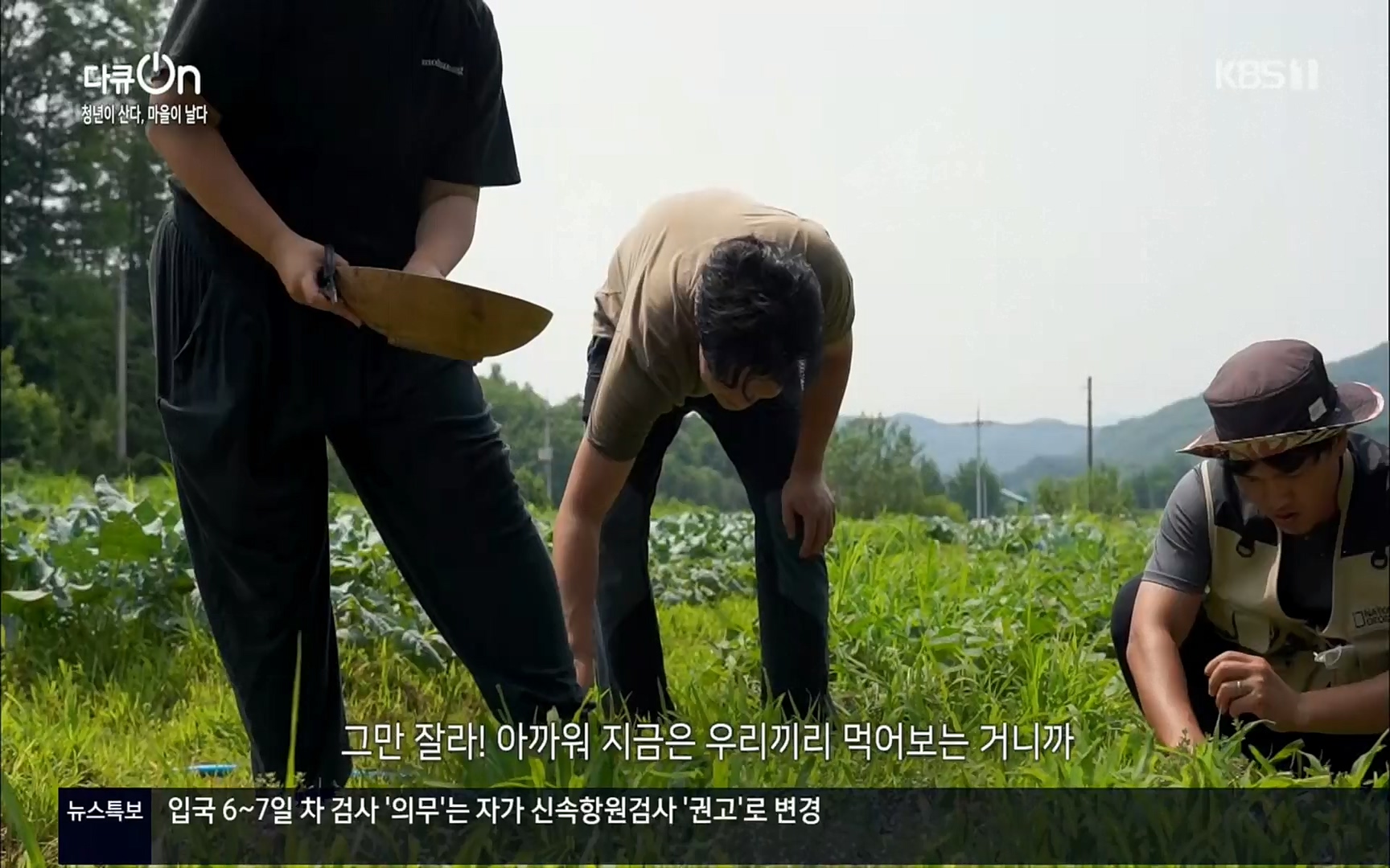 다큐 On.E146.220701p.H264-F1RST.mp4_20220704_205932.352.jpg