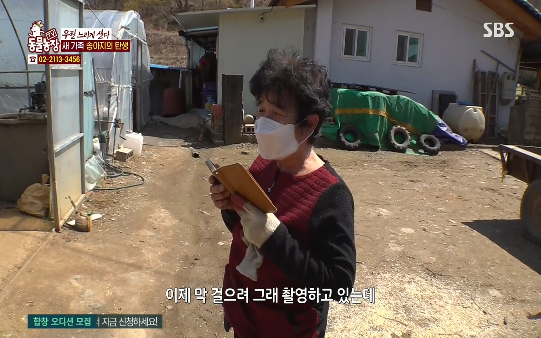 TV 동물농장.E1067.220501p.H264-F1RST.mp4_20220501_183455.095.jpg