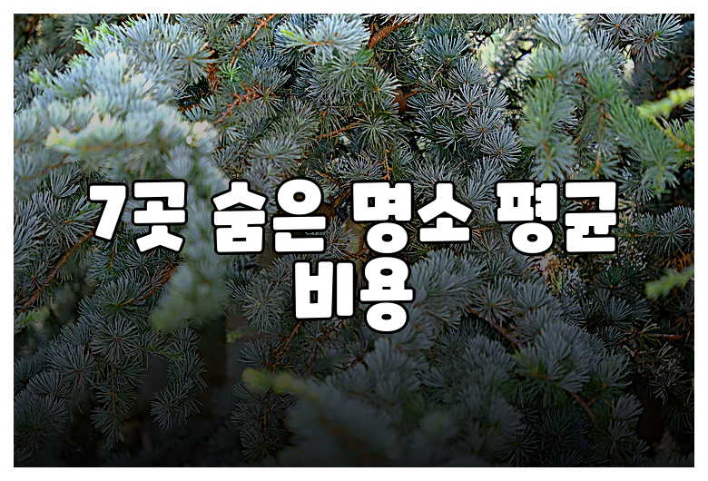 7곳 숨은 명소 평균 비용
