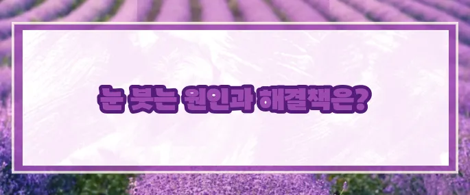 눈이 붓는 증상 원인과 대처법 (+총정리)