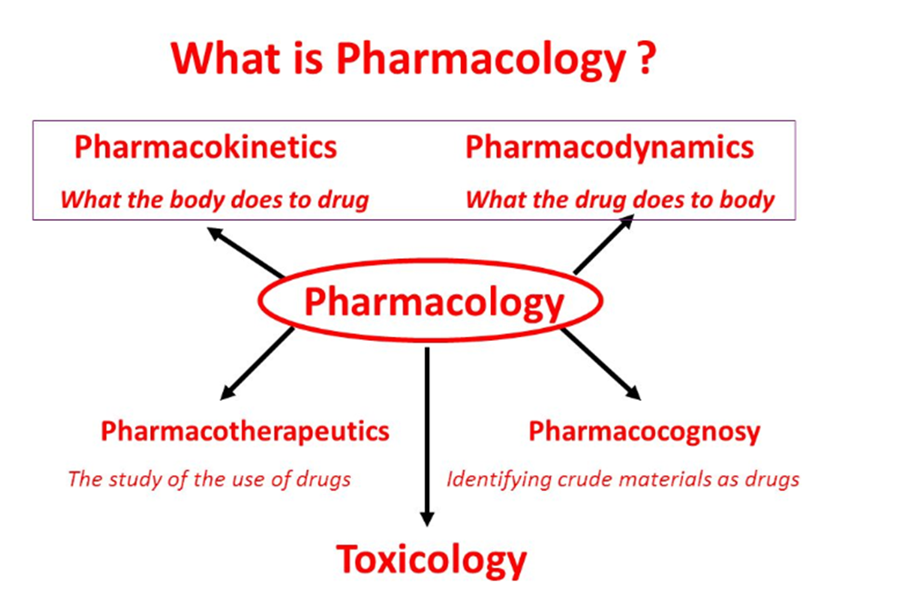 What is Pharmacology?