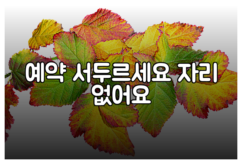 예약 서두르세요 자리 없어요