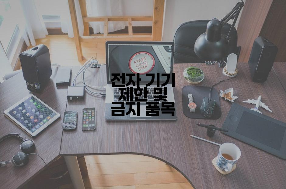 전자 기기 제한 및 금지 품목